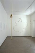 1999 knotted rope and steel, measuring variables